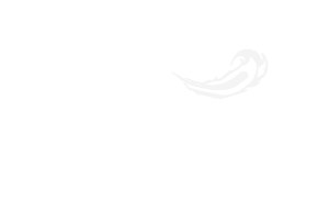 DragonBoard